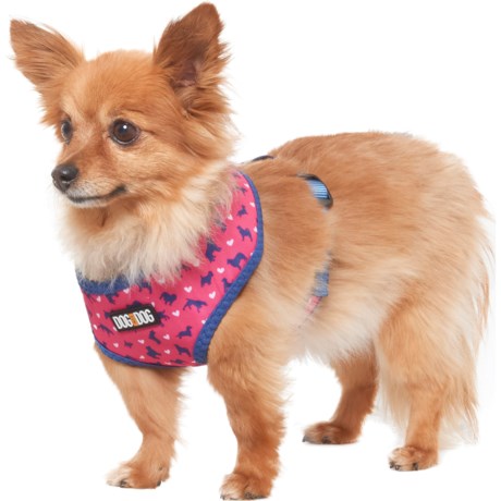 rbx dog harness