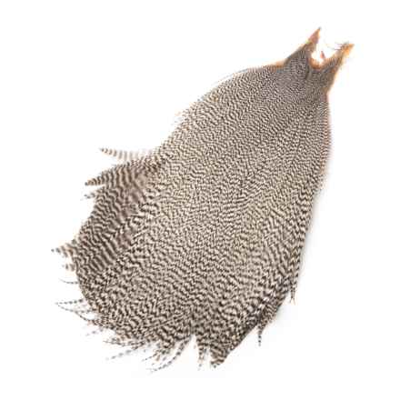 Metz #1 Neck Grizzly Hackle Cape in Grizzly