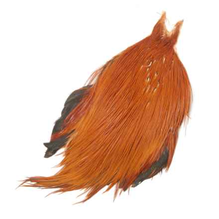 Metz #1 Neck Hackle Cape in Brown Natural