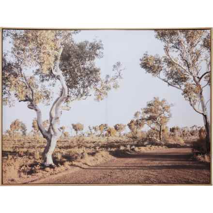 MIDDLE OF NOWHERE 40x30” Desert Sand Drive Framed Canvas in Multi