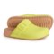 MINI MELISSA Girls Cozy Clogs in Green/Brown