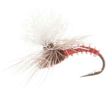 Montana Fly Company Christiaens’ GT Adult Dry Fly - Dozen in Mahogany