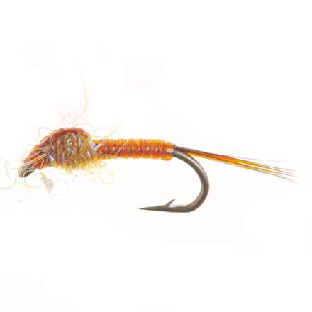 Montana Fly Company DJ’s PMD Nymph Fly - Dozen in Amber/Brown