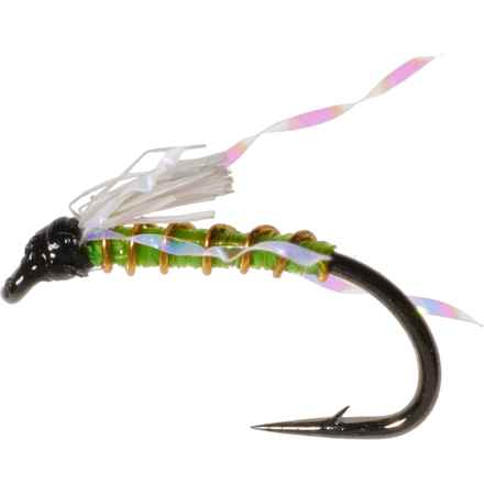 Montana Fly Company Frenchdipity Nymph Fly - Dozen in Lime