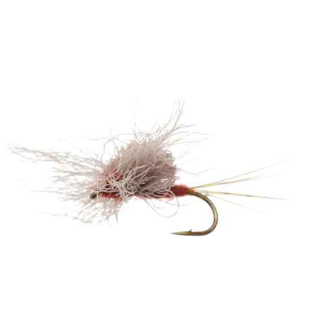 Montana Fly Company Galloup’s Dolly Wing Spinner Dry Fly - Dozen in Rusty