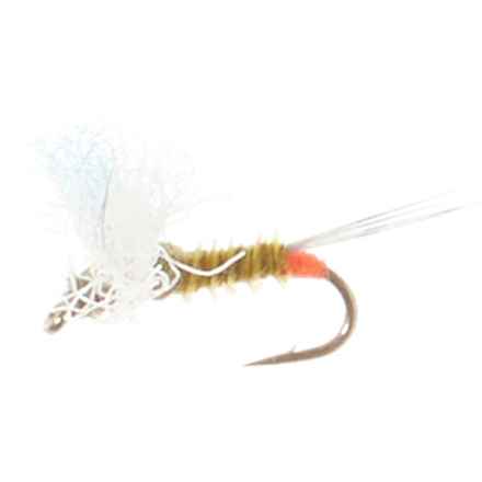 Montana Fly Company Hot Spot Comparadun Dry Fly - Dozen in Bwo