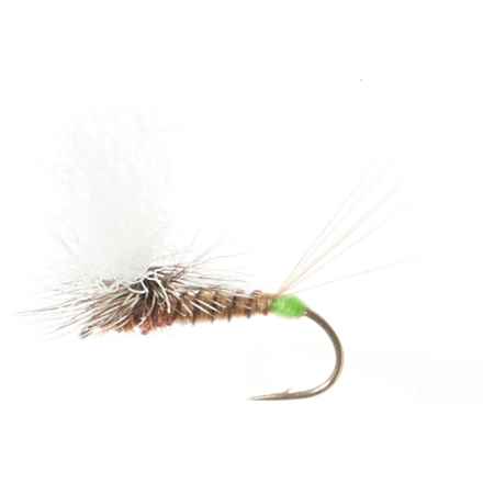 Montana Fly Company Hot Spot Para-Wulff Dry Fly - Dozen in Brown