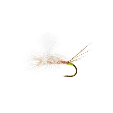 Montana Fly Company Hot Spot Para-Wulff Dry Fly - Dozen in Pink Albert