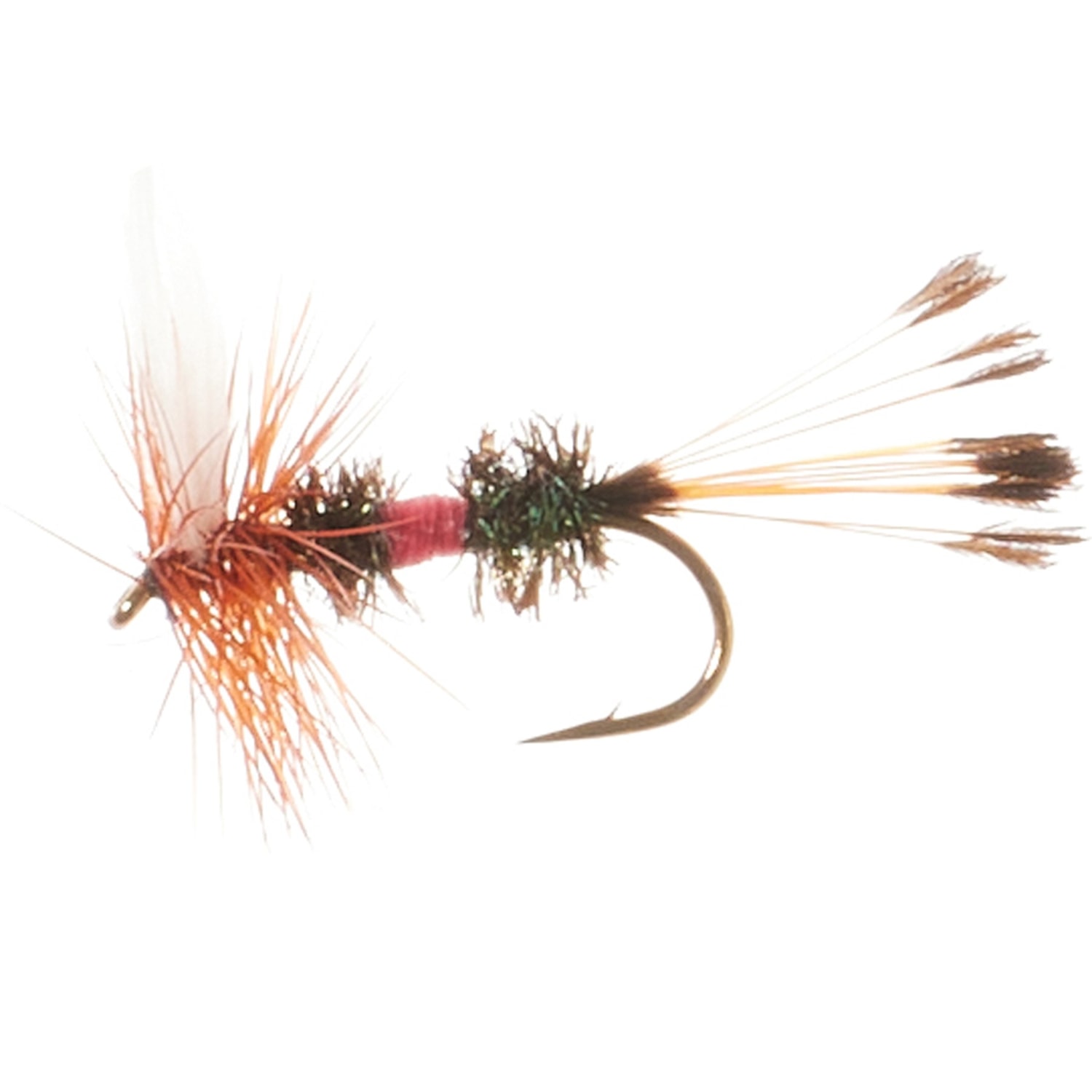 Montana Fly Company Royal Coachman Dry Fly - Dozen - Save 44%
