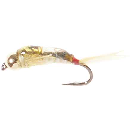 Montana Fly Company Silverman’s Bead Head Epoxy Back Red Tag Sally Nymph Fly - Dozen in Multi