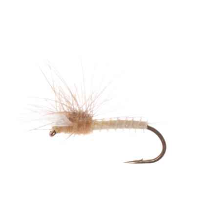 Montana Fly Company Silverman’s Stacker Spinner Dry Fly - Dozen in Pmd