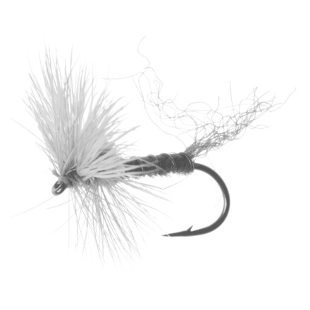 8 White Dog Nobbler Fly, Mixed Size 8/10, Sinking Trout Flies, Fishing Flies  • Tribunali Italiani