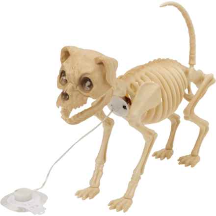 Moonlight Manor Skeleton Dog Decoration with LED Lights - 18.75” in Multi