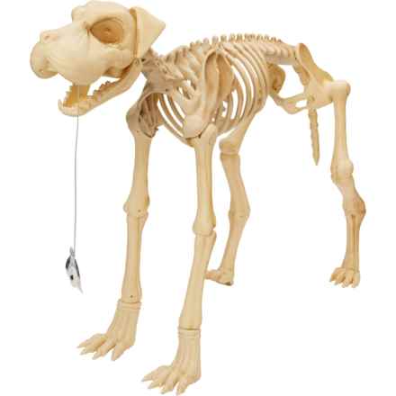 Moonlight Manor Skeleton Dog with LED Eyes and Sound and Motion Sensor - 31x25.5” in Multi