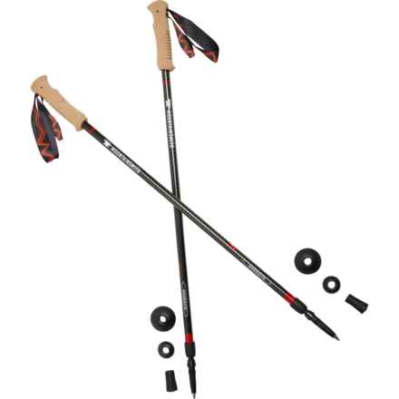 Mountainsmith Andesite Trekking Poles - Pair in Carbon