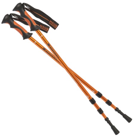 mountainsmith trekking pole