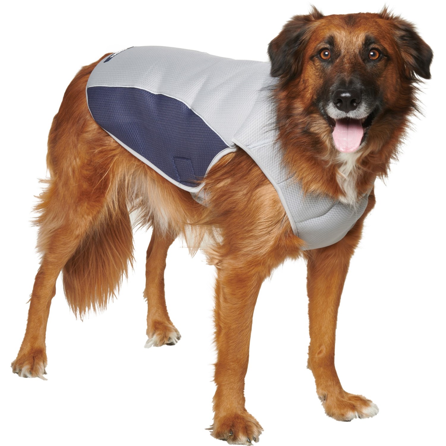 nautica pet jacket