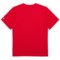 569XU_2 New Balance Standard Logo Graphic T-Shirt - Short Sleeve (For Big Boys)