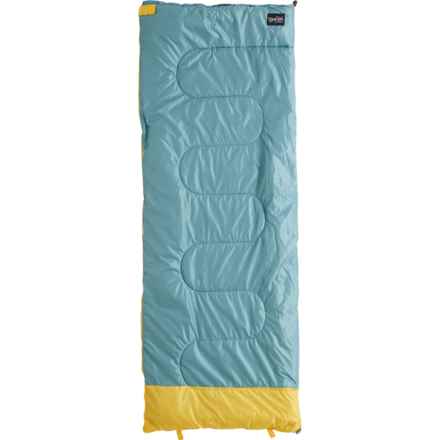 NorEast Outdoors 32°F Base Camp Sleeping Bag - Rectangular, Insulated in Mint/Gold