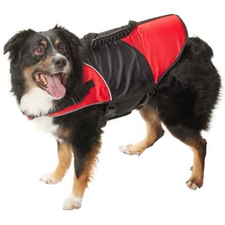NorEast Outdoors Pet Harness Life Jacket - Extra large in Red/Black