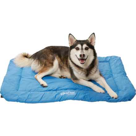 NorEast Outdoors Roll-Up Travel Pet Bed -  24x36” in Blue/Black