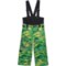 Obermeyer Little Boys Warp Bib Snow Pants - Waterproof, Insulated in Simply Greens