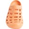 5KXTD_2 Oboz Footwear Whakata Coast Clogs (For Men)