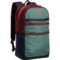 OGIO Alpha Lite 21.5 L Backpack - Varidian Glow in Varidian Glow