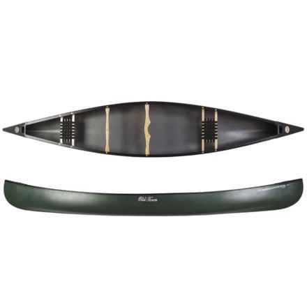 Old Town Discovery 169 Tandem Canoe - 16’9” in Green