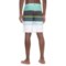 306FW_2 O’Neill Brisbane Collection Transfer Boardshorts (For Men)