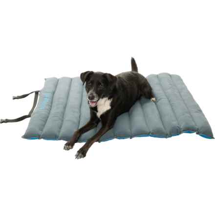 Outdoor Dog Roll-Up Travel Bed - 45x33” in Blue