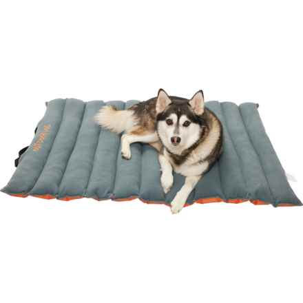 Outdoor Dog Roll-Up Travel Bed - 45x33” in Orange