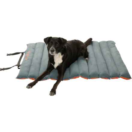 Outdoor Dog Roll-Up Travel Bed - 45x33” in Orange