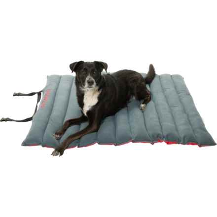 Outdoor Dog Roll-Up Travel Bed - 45x33” in Red