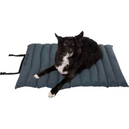 Outdoor Dog Roll-Up Travel Dog Bed - 45x33” in Blue/Grey