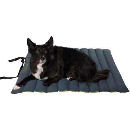 Outdoor Dog Roll-Up Travel Dog Bed - 45x33” in Green