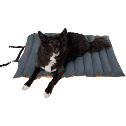 Outdoor Dog Roll-Up Travel Dog Bed - 45x33” in Orange