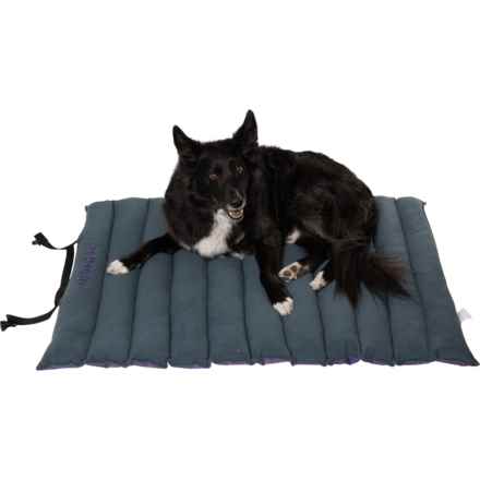 Outdoor Dog Roll-Up Travel Dog Bed - 45x33” in Purple