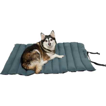 Outdoor Dog Roll-Up Travel Dog Bed - Large, 45x33” in Black