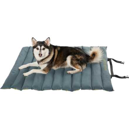 Outdoor Dog Roll-Up Travel Dog Bed - Large, 45x33” in Olive Green