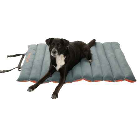 Outdoor Dog Roll-Up Travel Dog Bed - Medium, 34x26” in Orange