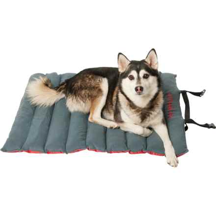 Outdoor Dog Roll-Up Travel Dog Bed - Medium, 34x26” in Red