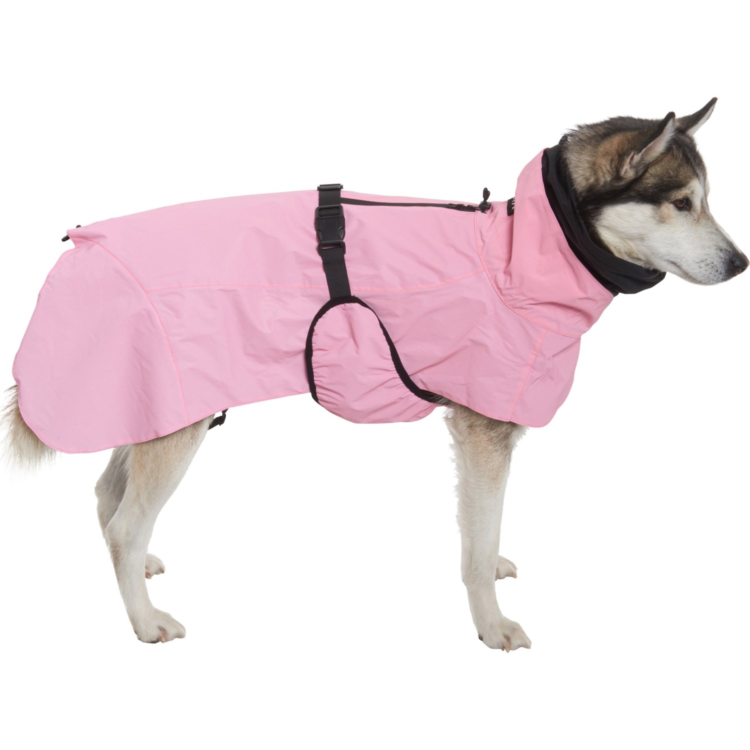 PAIKKA Visibility Dog Raincoat (For Medium Dogs) Save 56