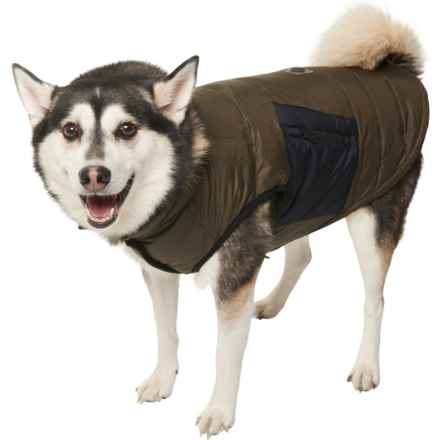 Pajar Beau Quilted Mixed Media Puffer Dog Jacket - Insulated in Military