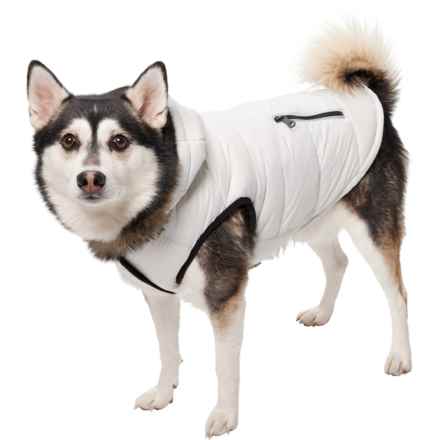 Pajar Duke Dog Jacket - Insulated in Silver