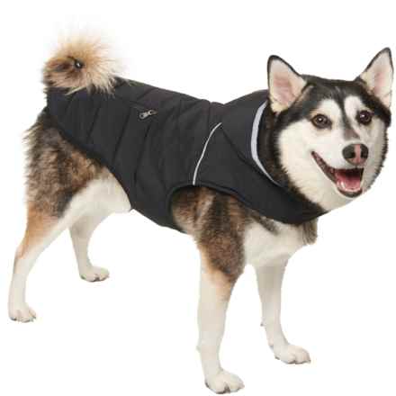Pajar PUP Denver Diagonal Quilted Puffer Hooded Dog Jacket - Insulated in Black