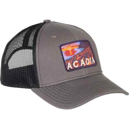 ParkHats Acadia National Park Baseball Cap (For Men) in Charcoal/Black