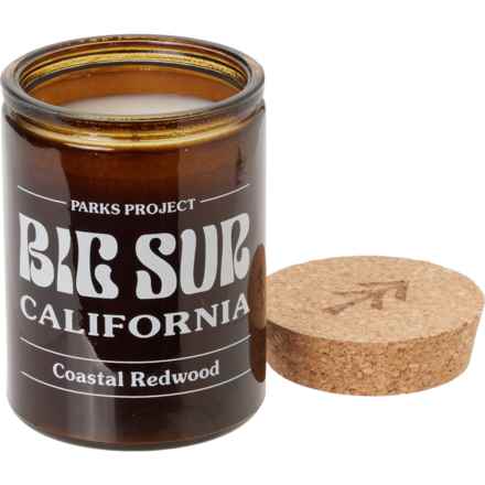 Parks Project 11 oz. Big Sur Coastal Redwood Soy Candle in Redwood