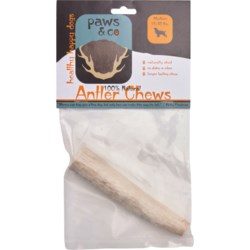 Paws & Co. Whole Antler Dog Chew - Medium in Multi