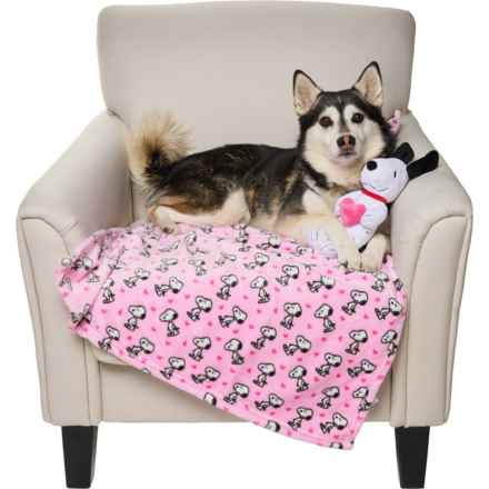 Peanuts Printed Pet Throw Blanket and Plush Toy Set - 40x30” in Pink Hearts